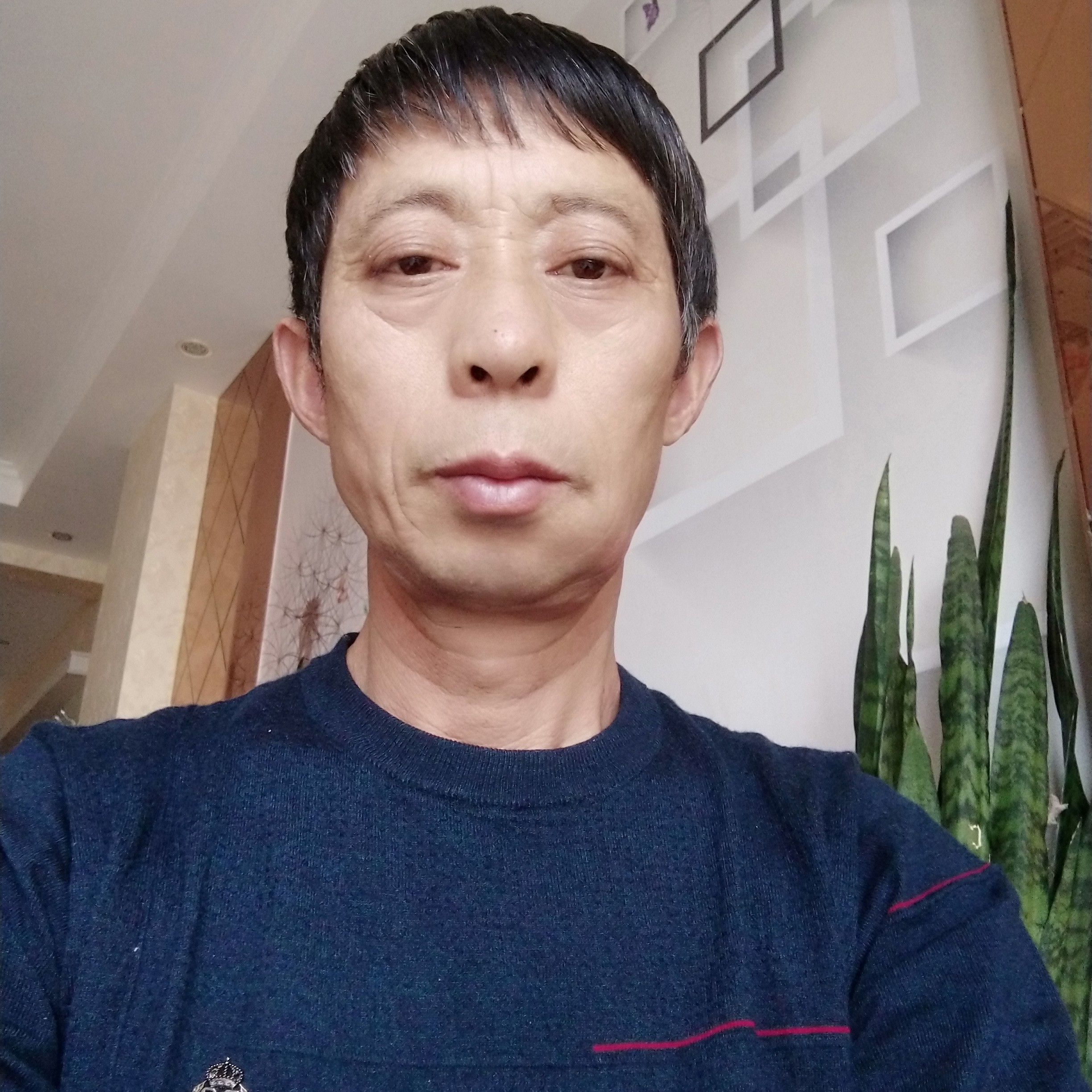 缥缈迎俊秀的照片