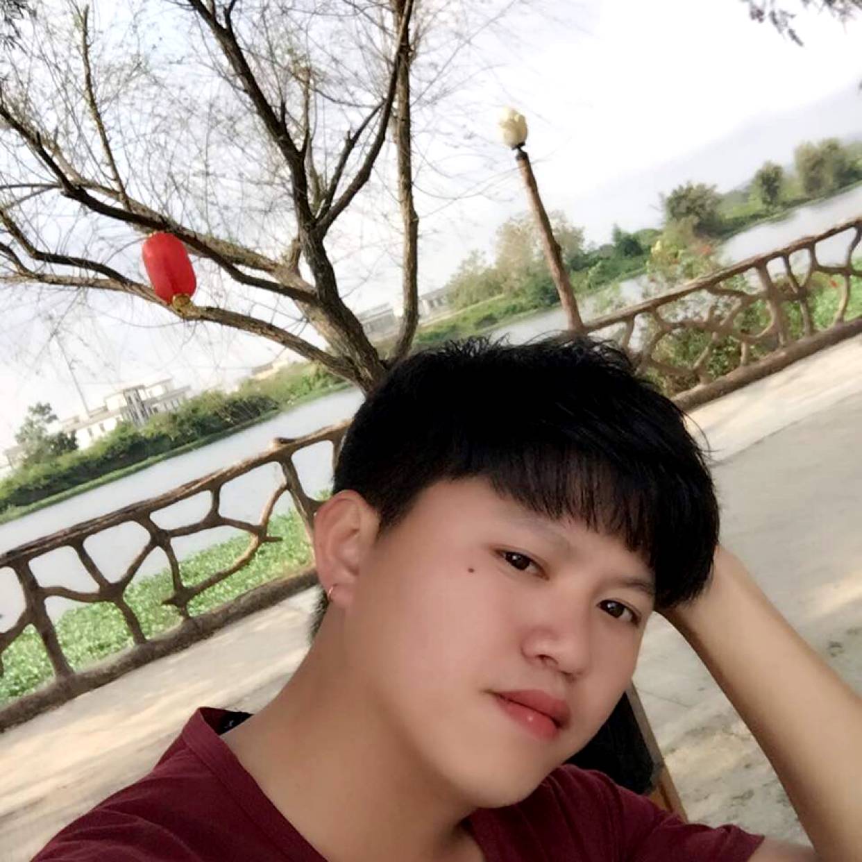 老鼠给糟糕的照片