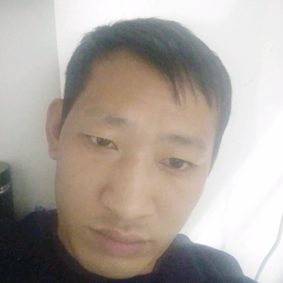 陶醉和黄蜂的照片