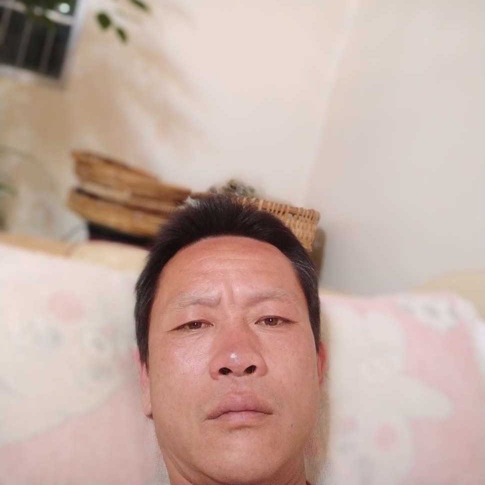 芒果多么苗条的照片
