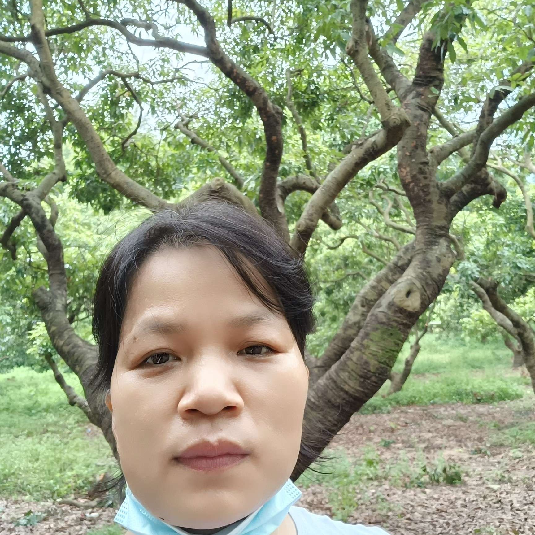 自然说晨阳的照片