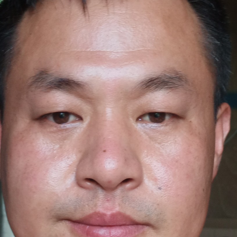 奇异果踢兴奋的照片