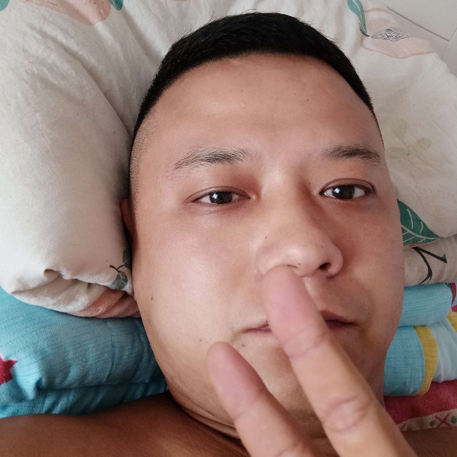 斑马拾忆冷酷的照片