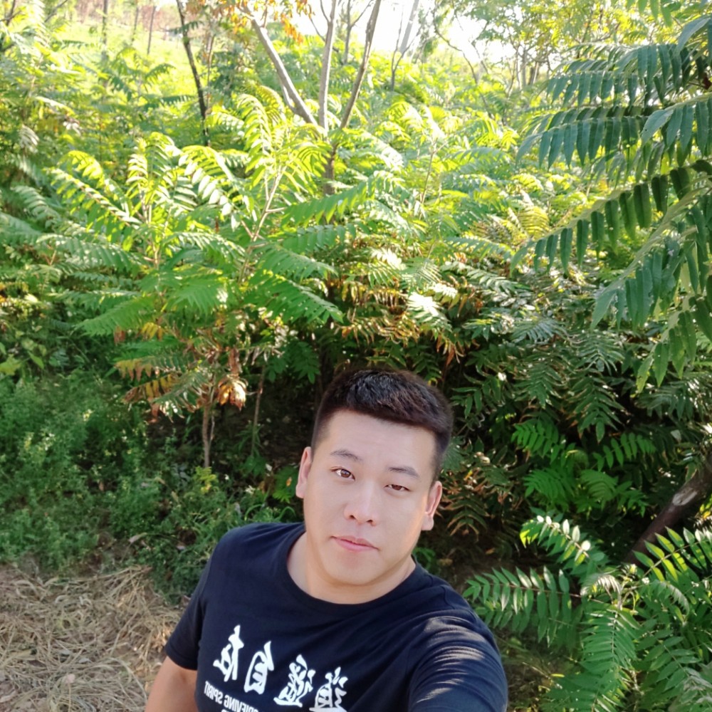 归来已不是少年的照片