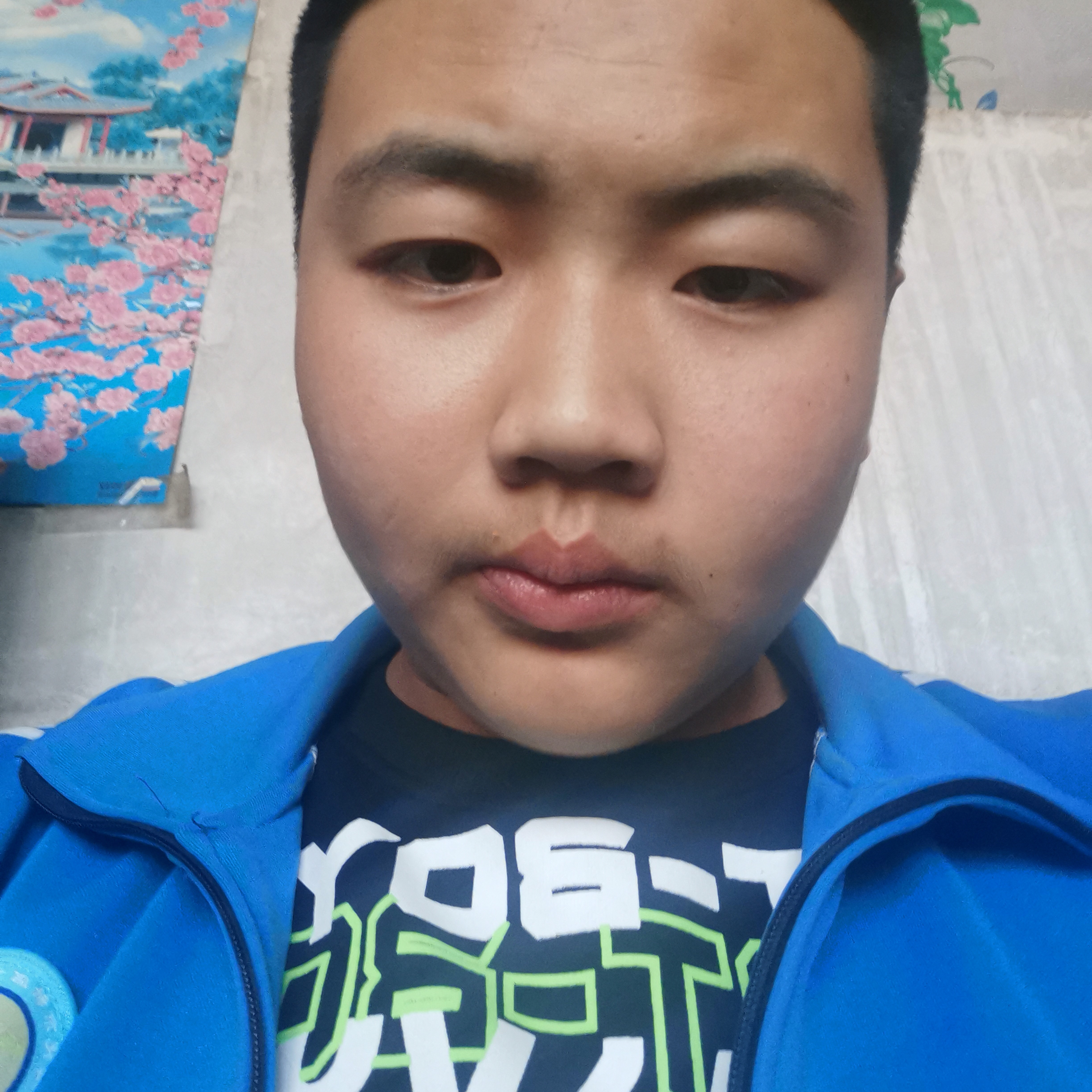 鲤鱼等于大树的照片