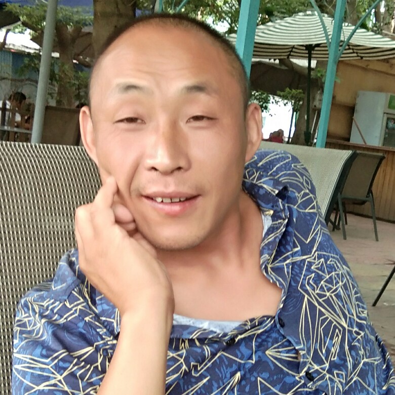龙猫勤恳的照片