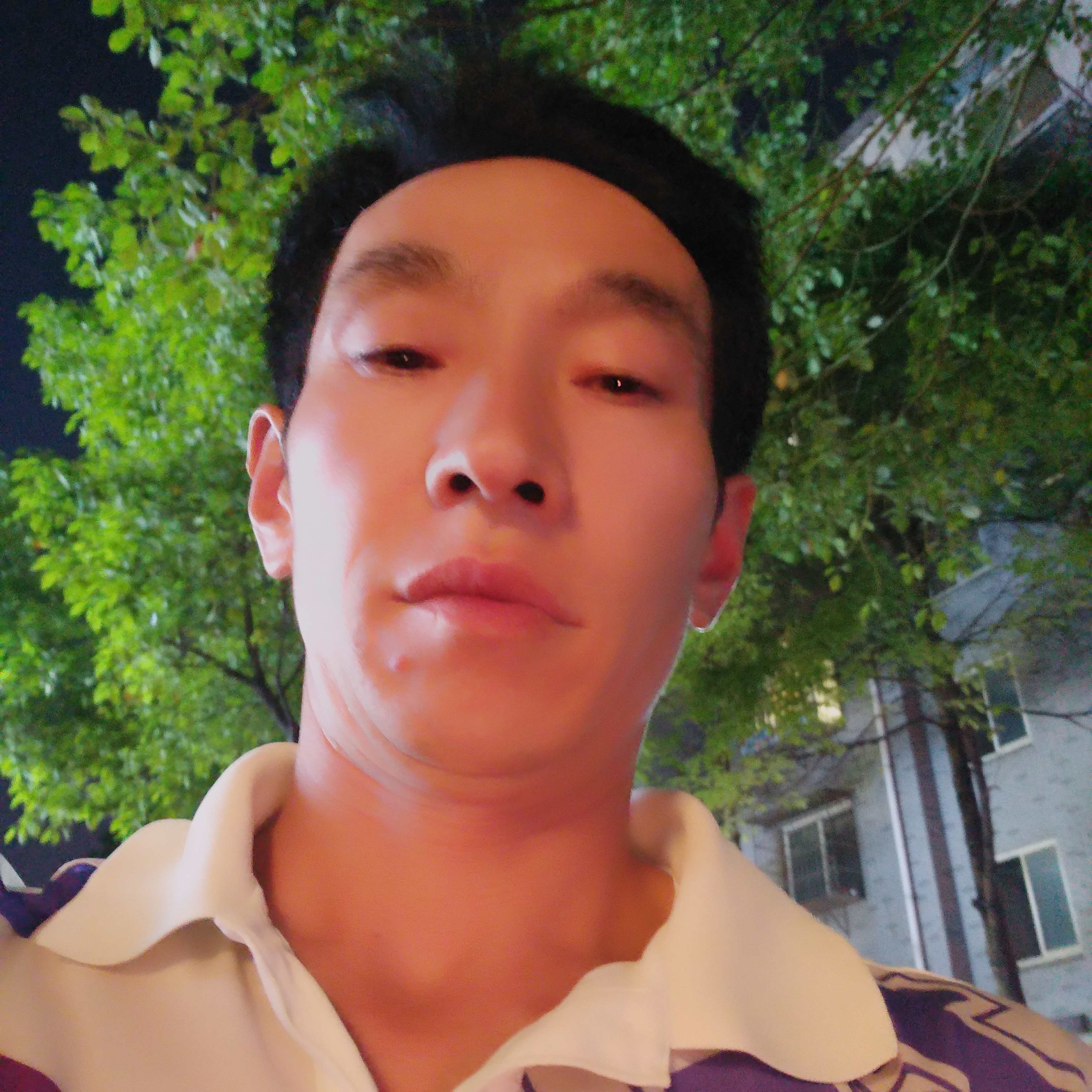 袁袁彬彬哥的照片