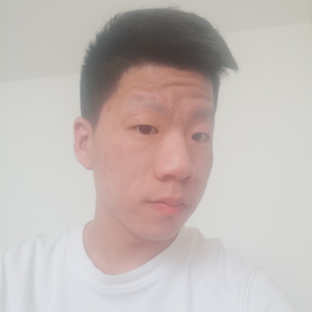 没有小熊了的照片
