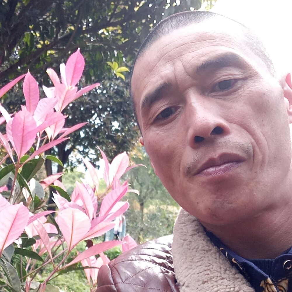 易老大的照片