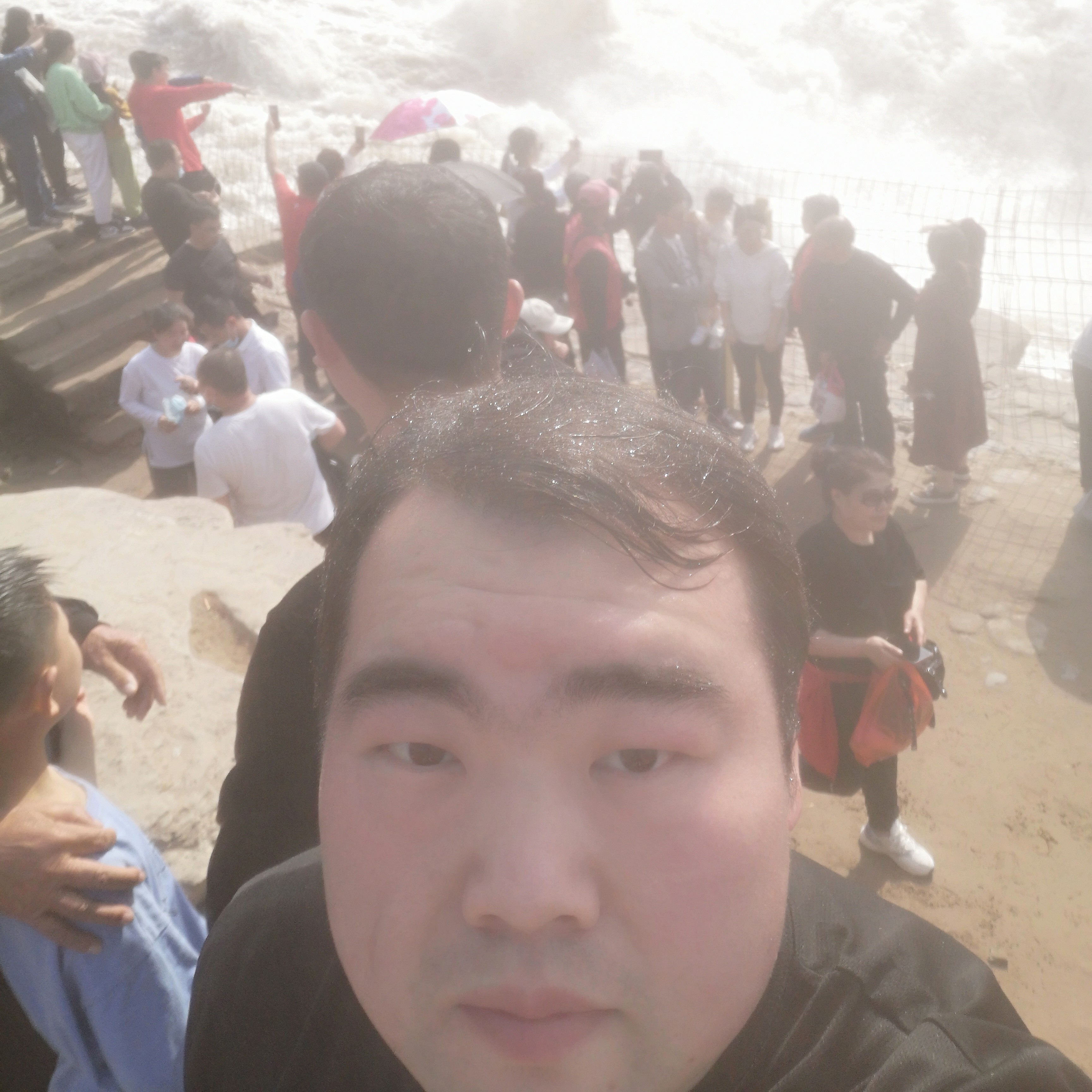 我们的漫步玫瑰的照片