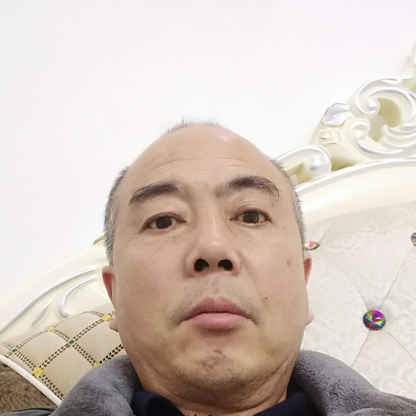 竹柏的照片
