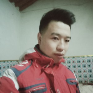 龙猫忧郁的照片
