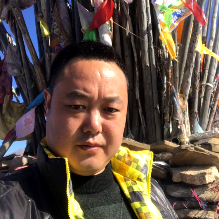 玫瑰踢舒心的照片
