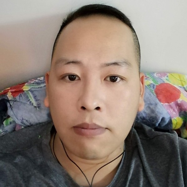 夕阳下的向日葵的照片