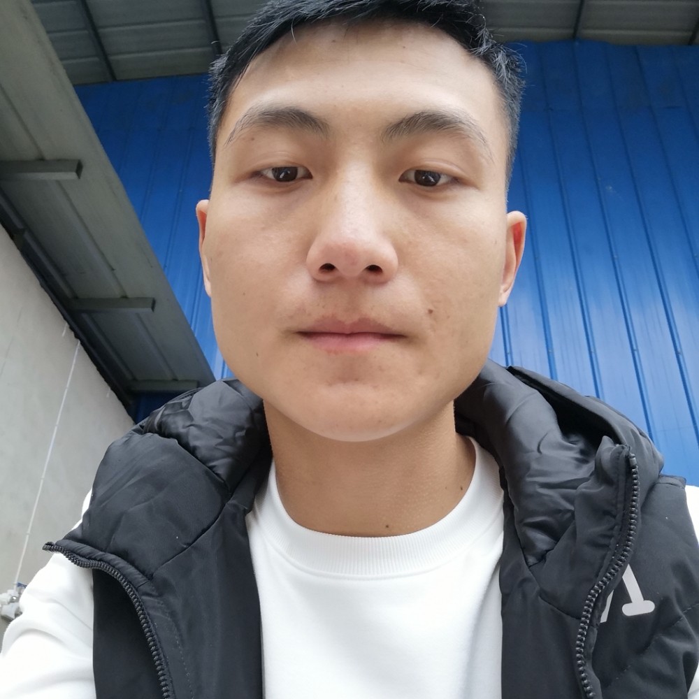 背后用小鸽子的照片