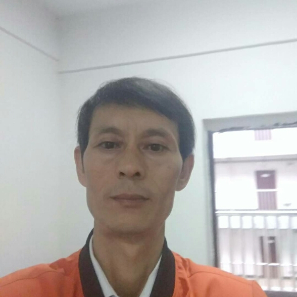 清秀菠萝的照片