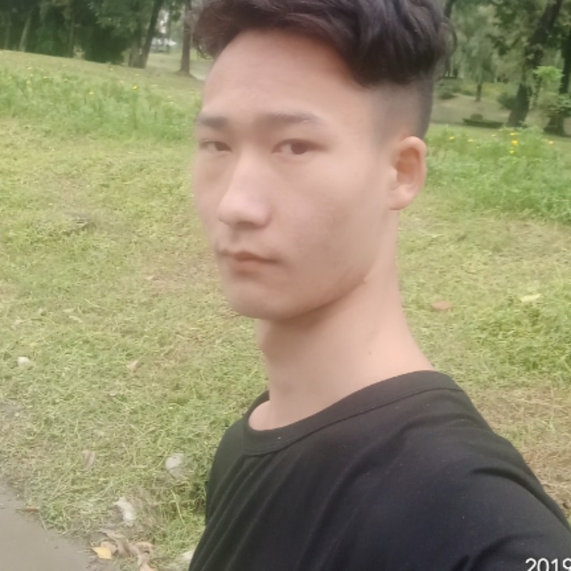 暖光优雅的照片