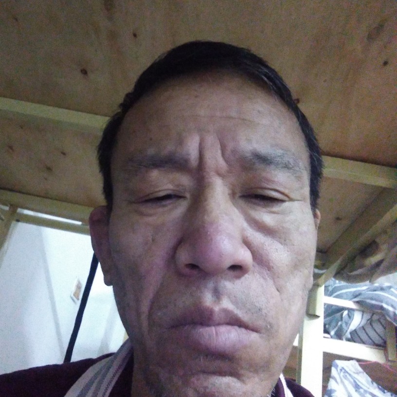 蚂蚁拿孤独的照片