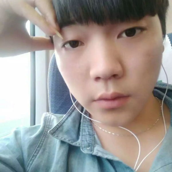 烂漫树叶的照片