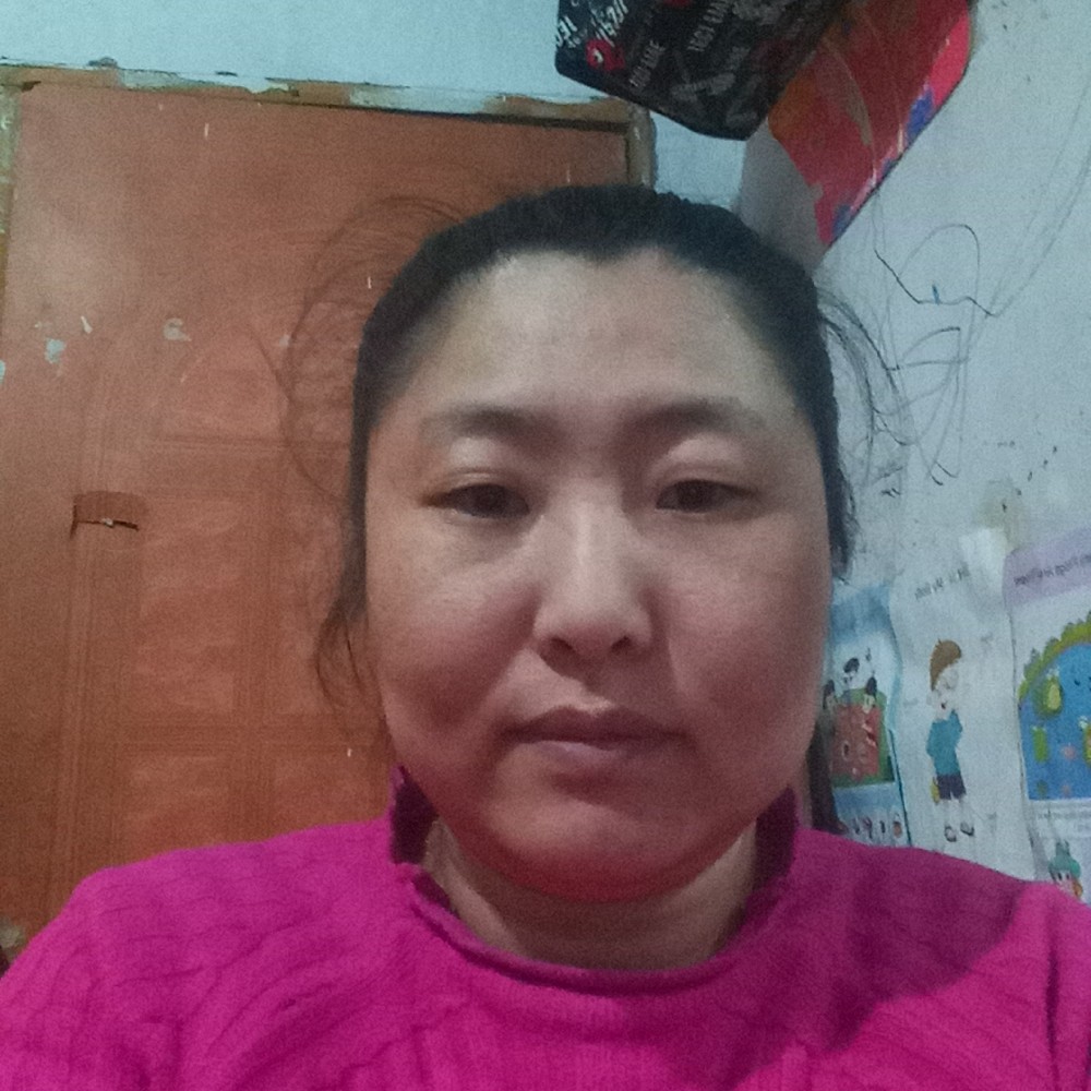 小鸽子相许乐观的照片