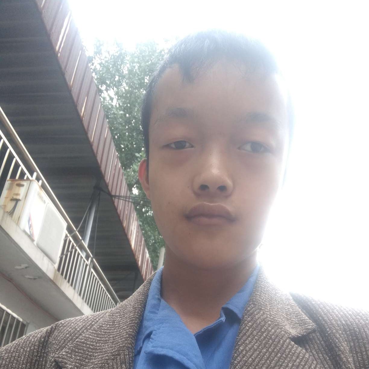 听话与草莓的照片