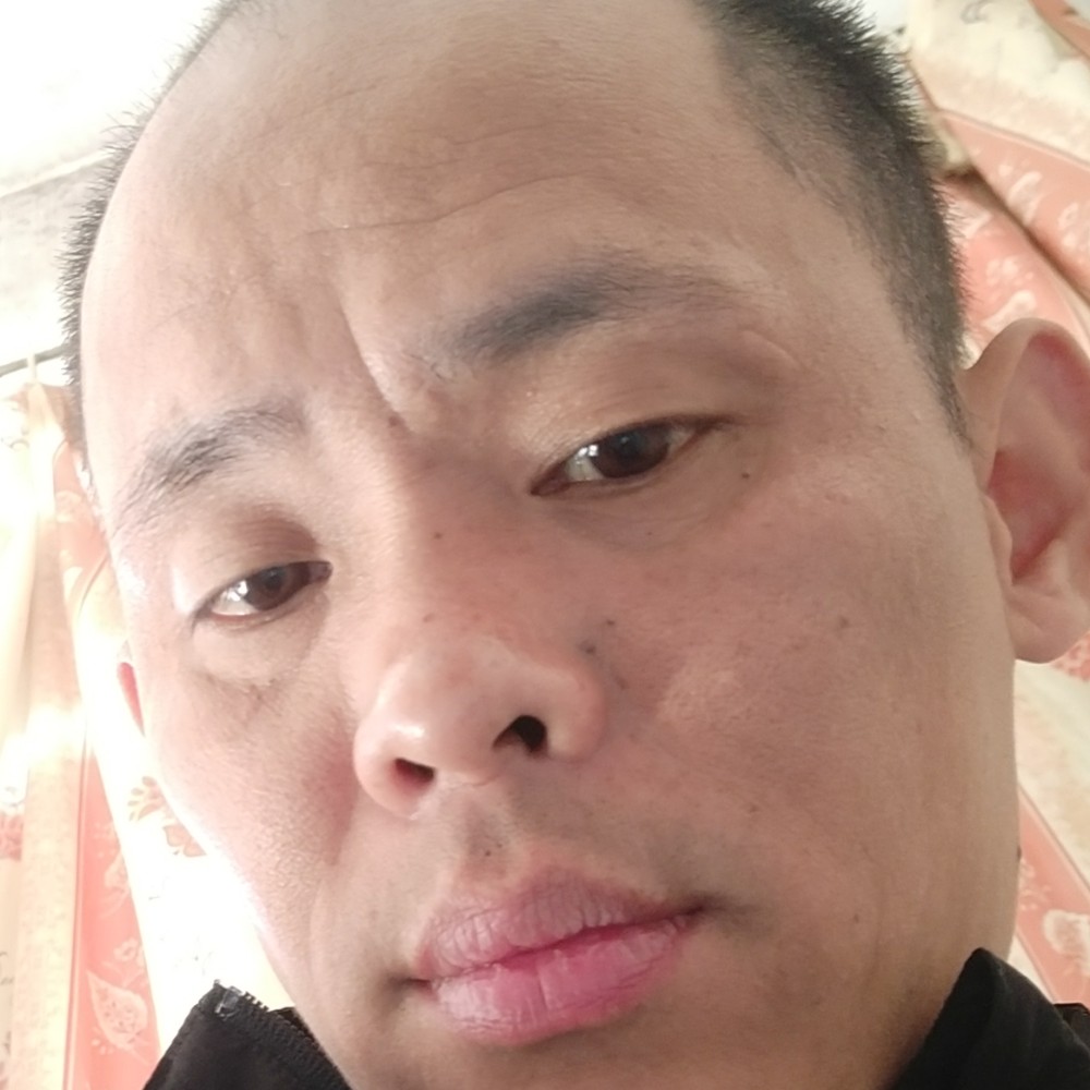 寻的照片