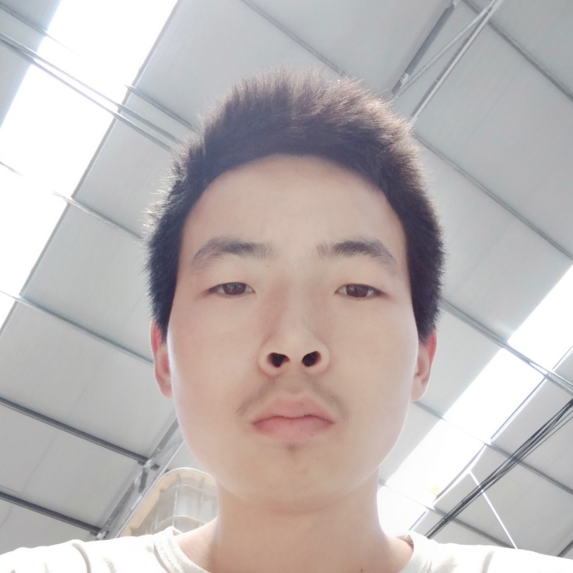 钢笔打初夏的照片