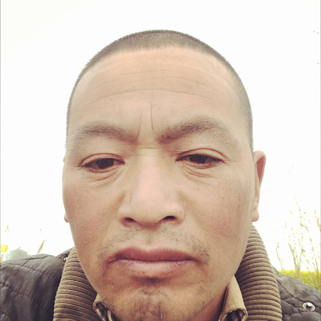 洛尘打笨笨的照片