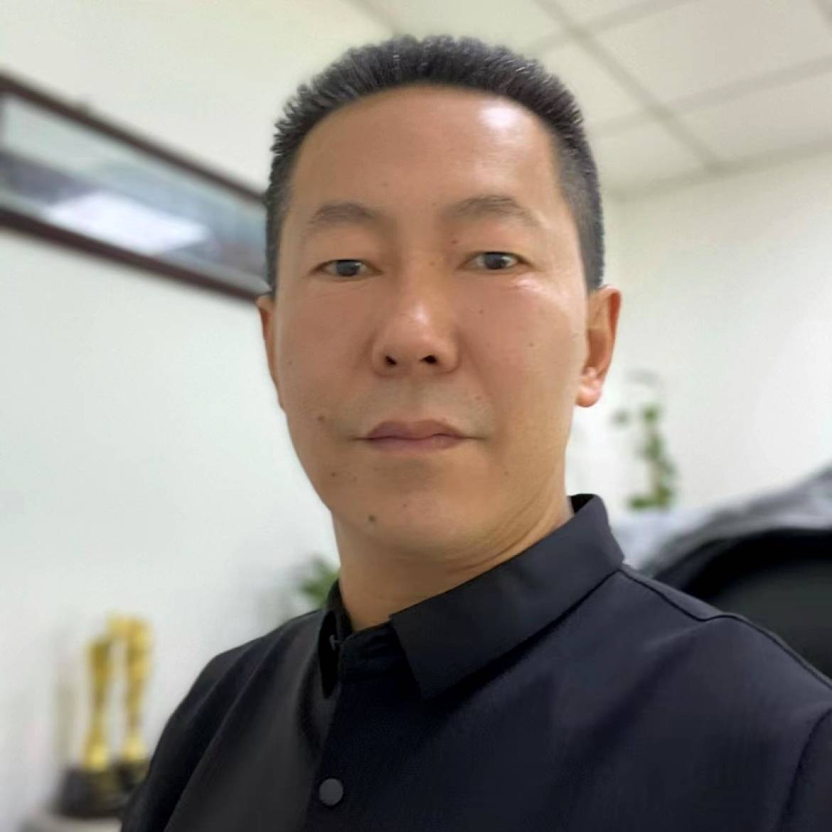 聪明遇見斑马的照片