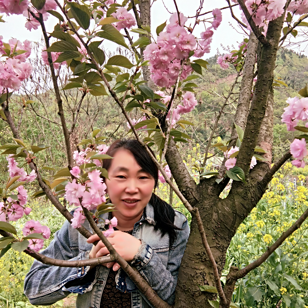 漂香十里的照片