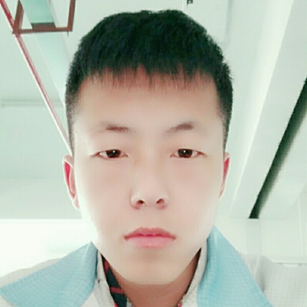 小白菜温柔的照片
