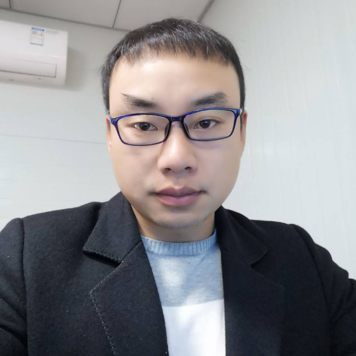 迷鹿的照片