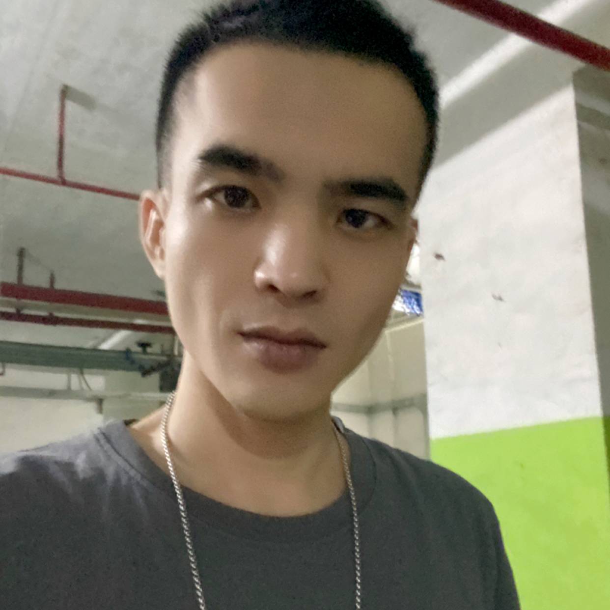 谁偷了我的猫的照片