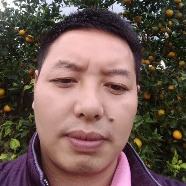 我家农村的照片
