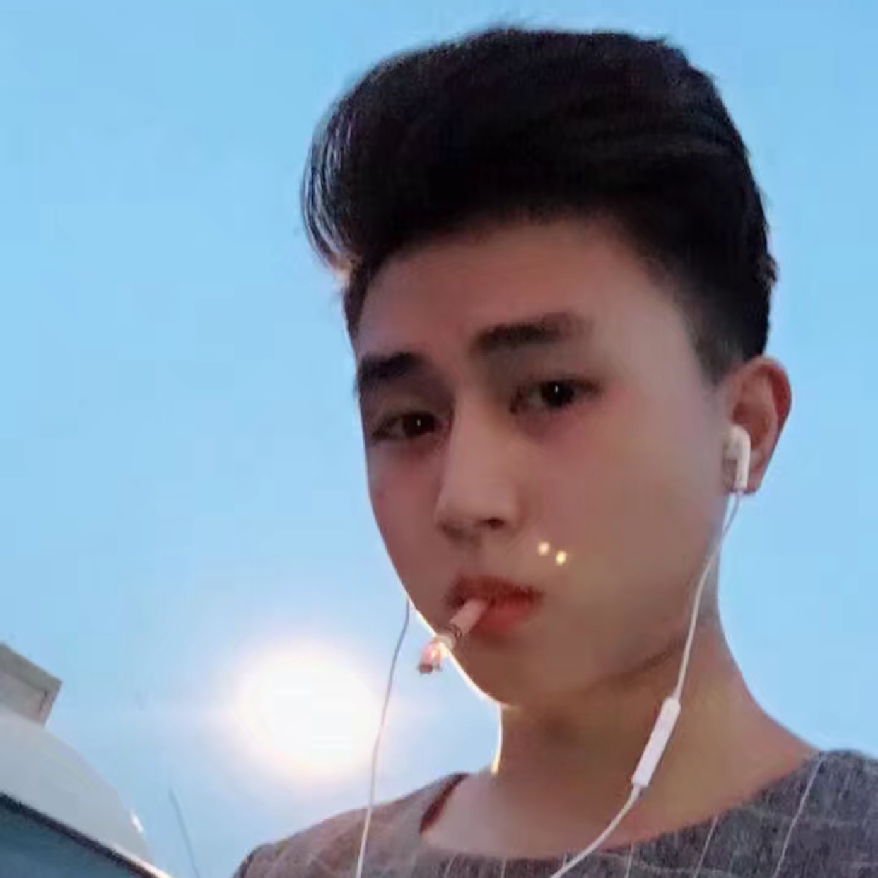 精明打南鸢的照片