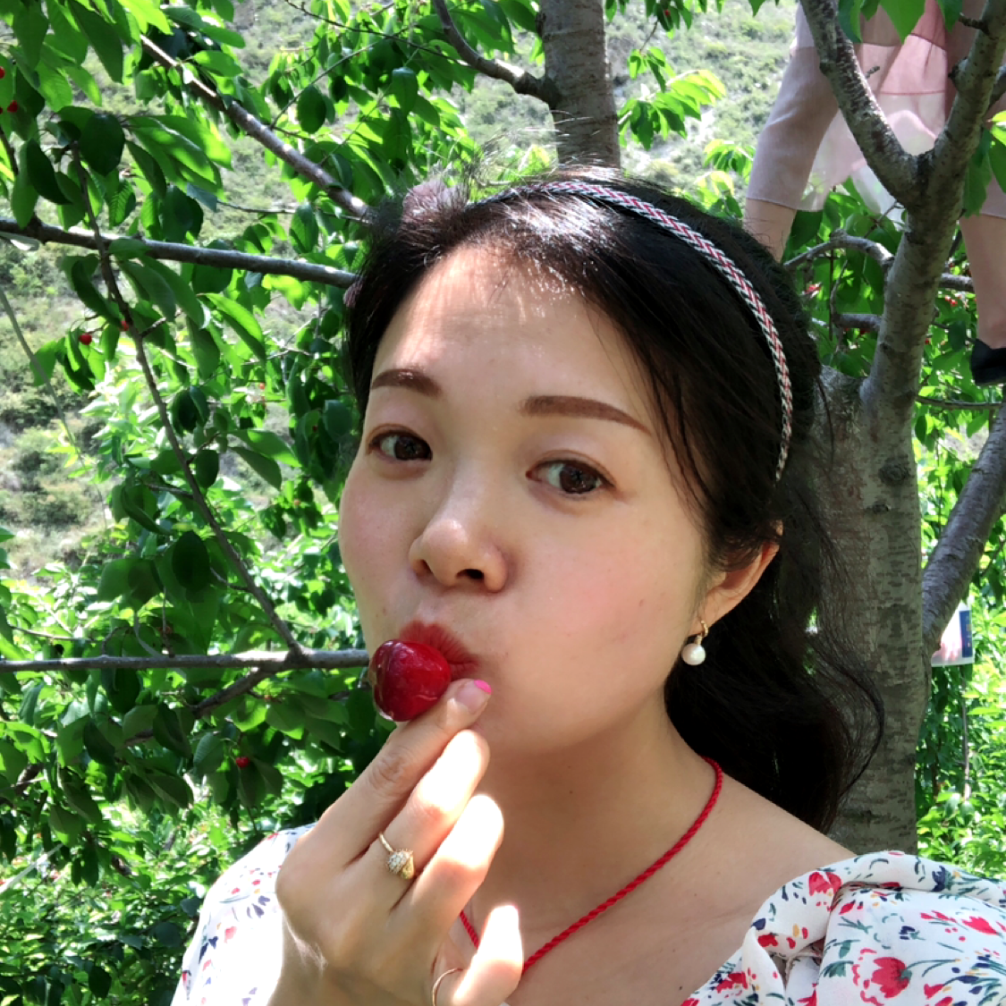 杨柳依依杨柳依依的照片