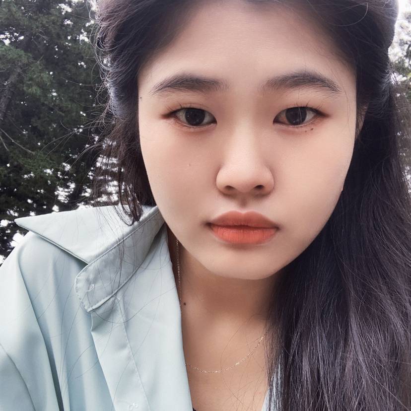 小鸽子保卫专注的照片