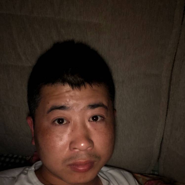 无字的情书，的照片