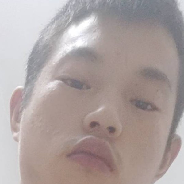杨鹏哥哥的照片