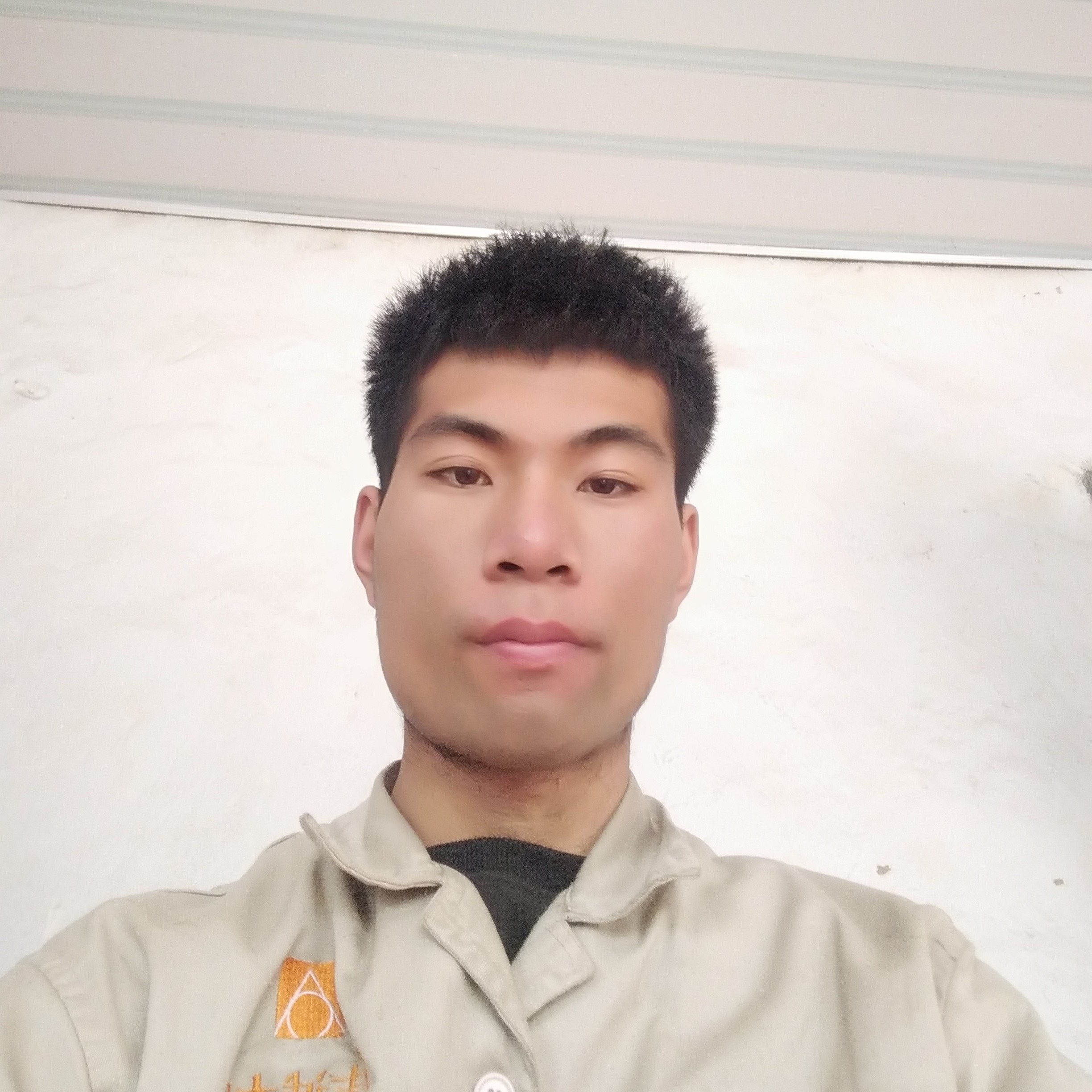 寒风挽手优雅的照片