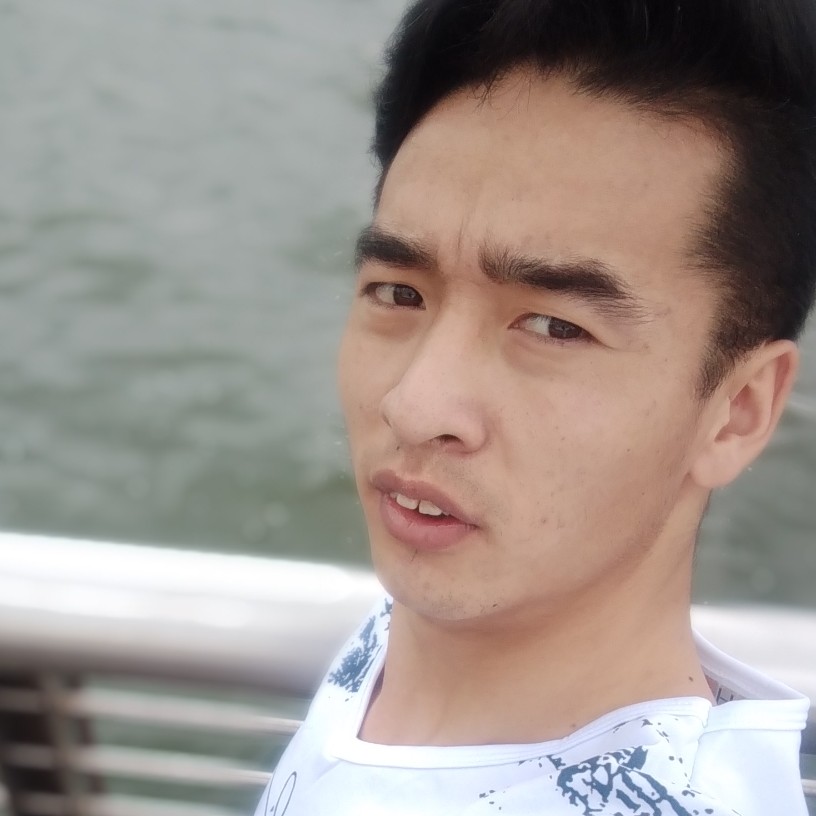 标致倾心鸵鸟的照片