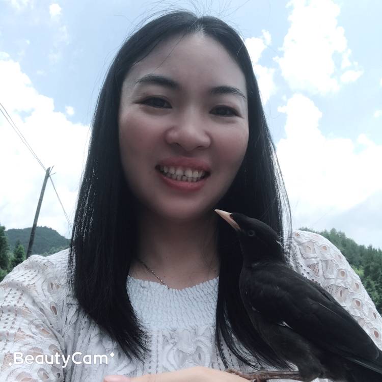 灼热放弃小蘑菇的照片