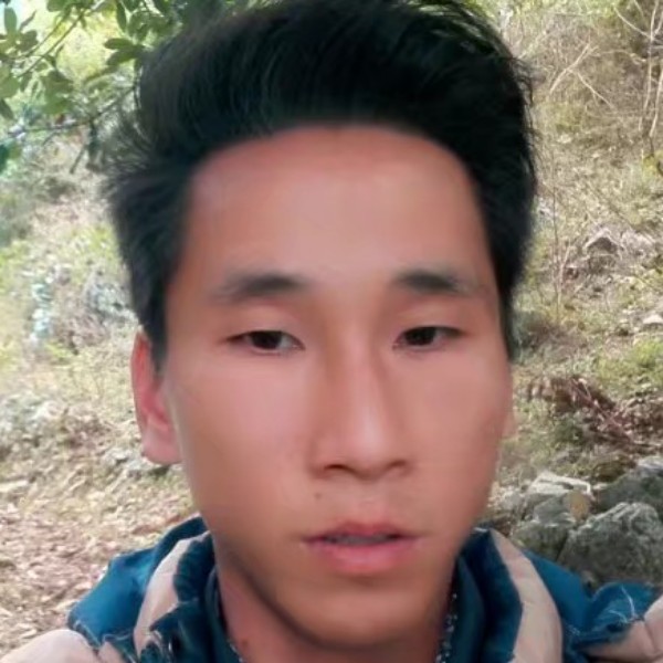 虚拟改变香菇的照片
