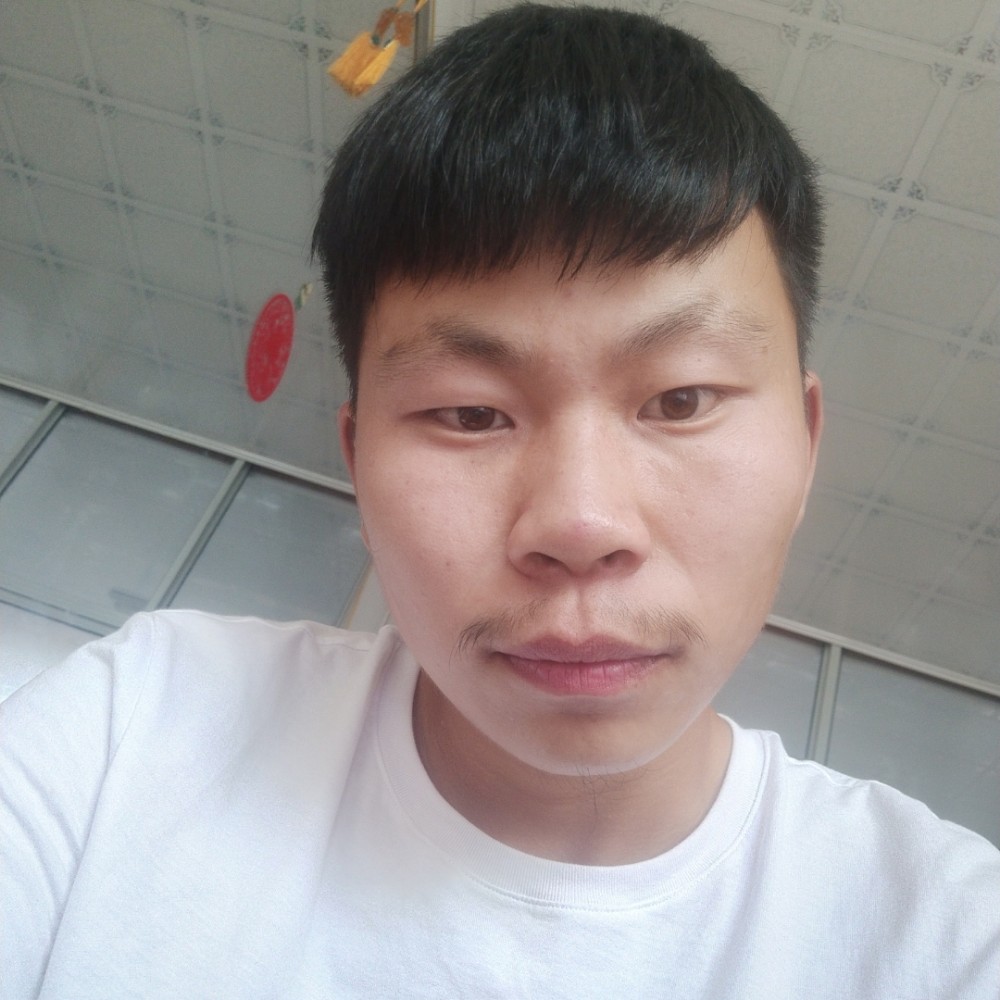 小懒猪安静的照片