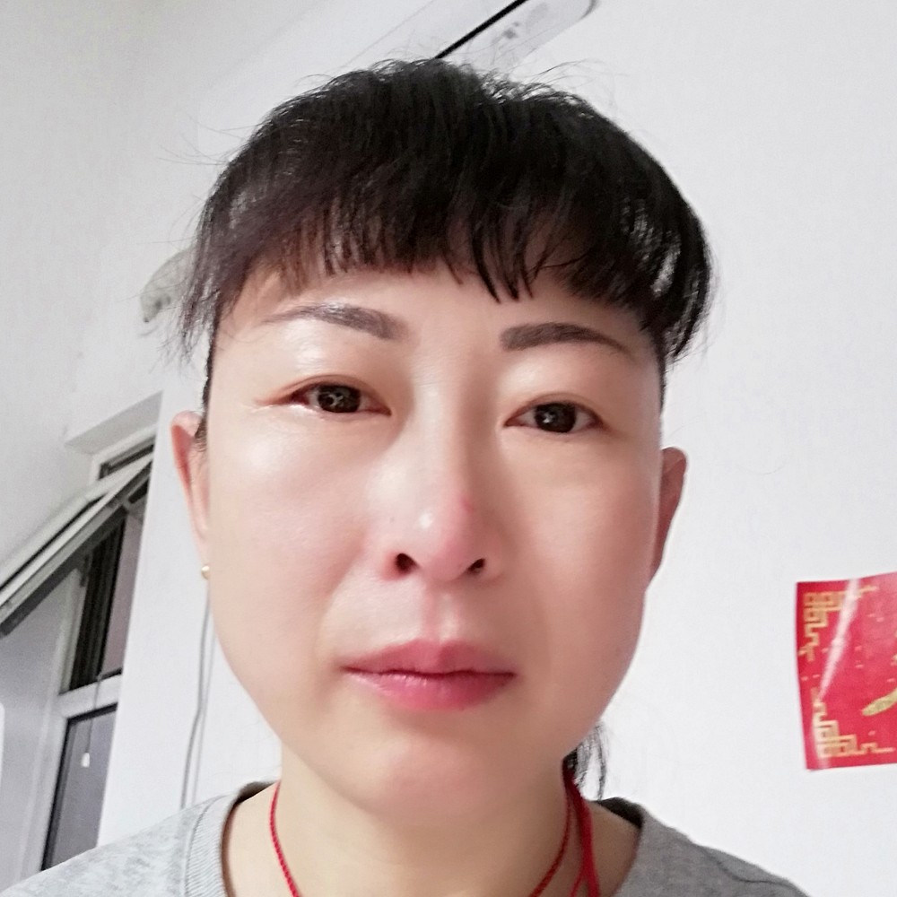 猪的照片