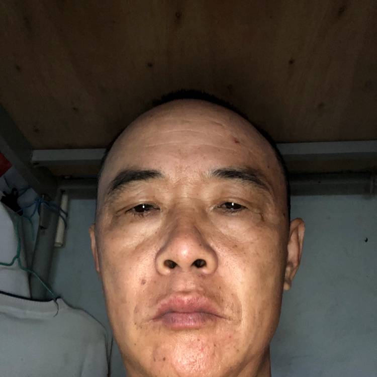 蛋挞迷人的照片