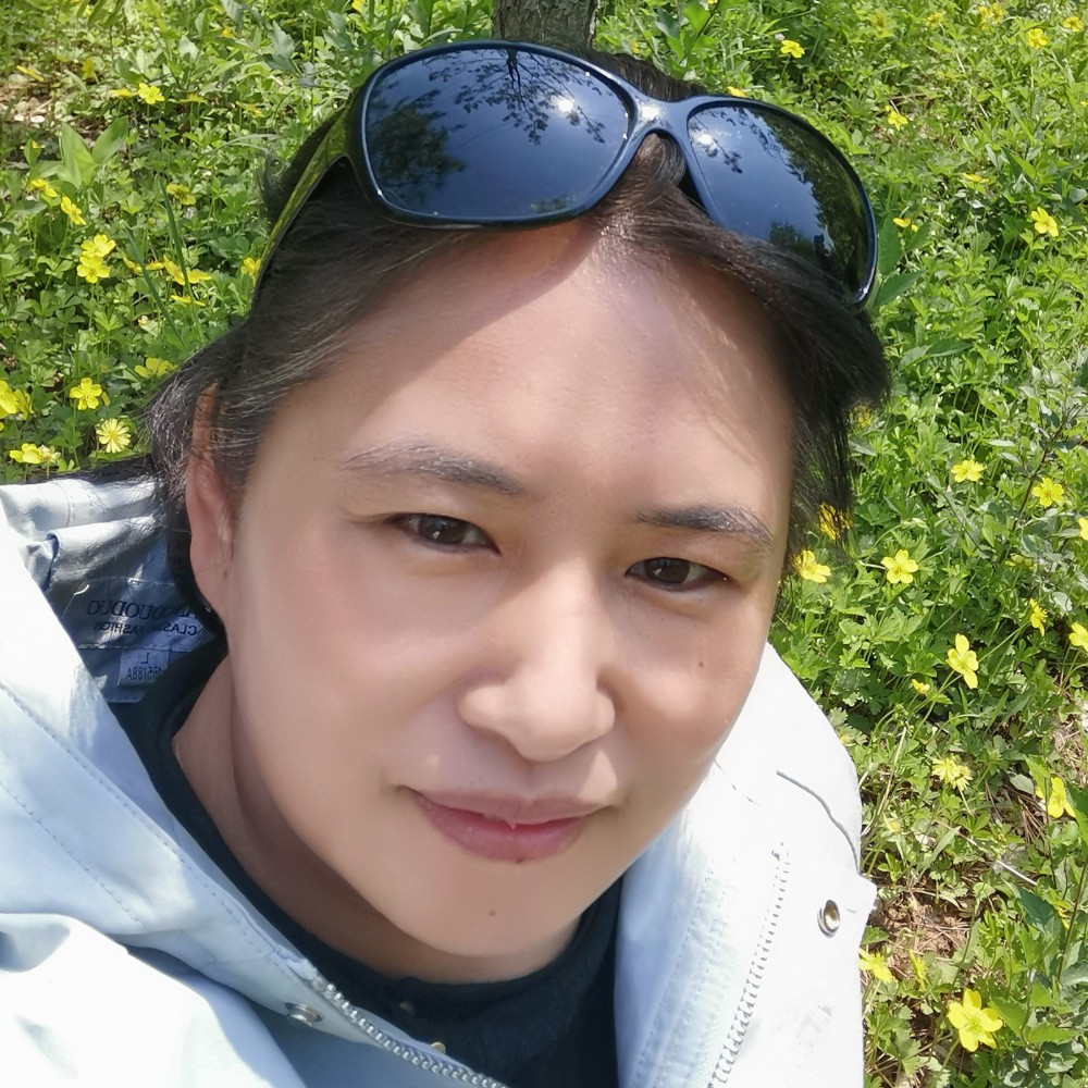 鹭路的照片