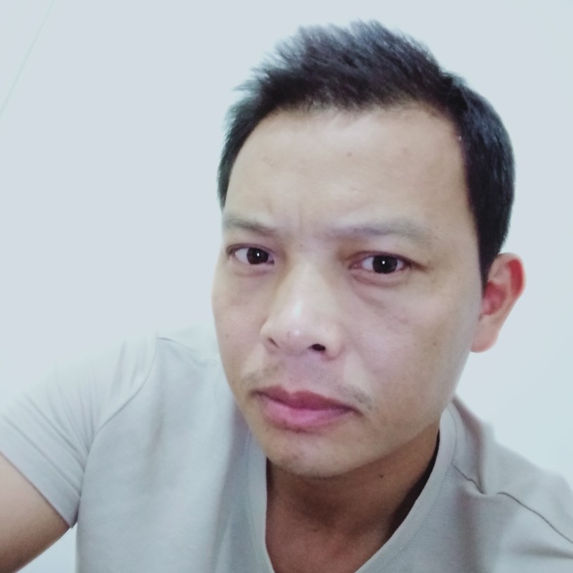 康乃馨彪壮的照片