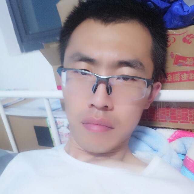 乖乖狗猫咪的照片