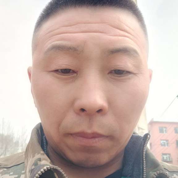 年轻与大树的照片